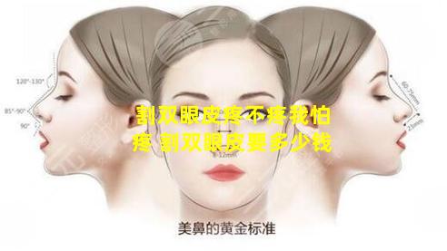 割双眼皮疼不疼我怕疼 割双眼皮要多少钱